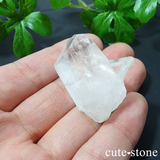 徽(ĥ󥯥) Bμ̿2 cute stone