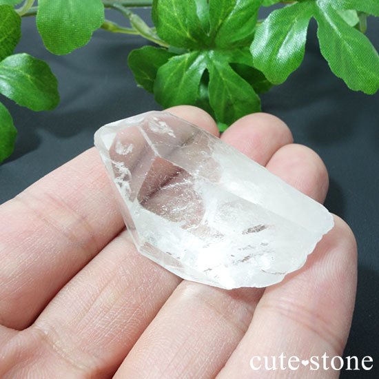 徽(ĥ󥯥) Aμ̿2 cute stone