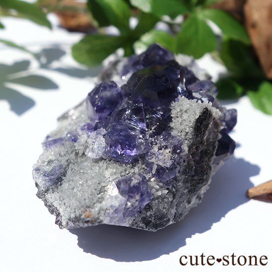  ʡʻѡץե饤ȤΥ饹 μ̿1 cute stone