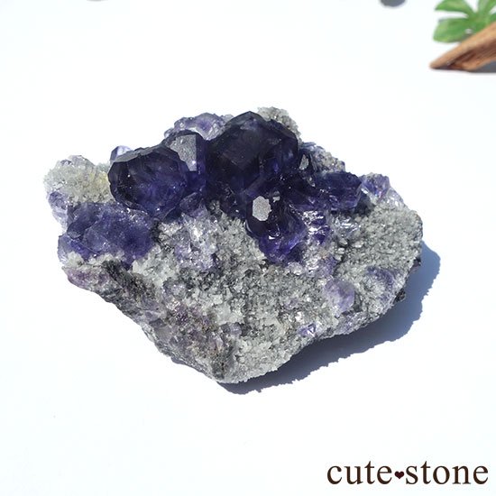  ʡʻѡץե饤ȤΥ饹 μ̿2 cute stone