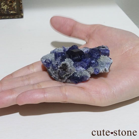  ʡʻѡץե饤ȤΥ饹 μ̿4 cute stone