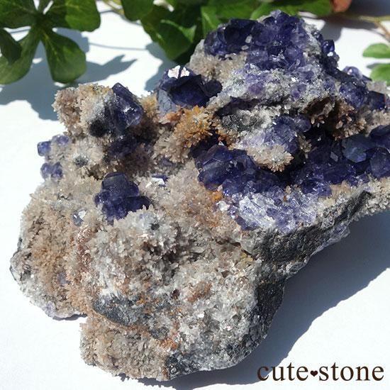  ʡʻѡץե饤ȤΥ饹 μ̿1 cute stone