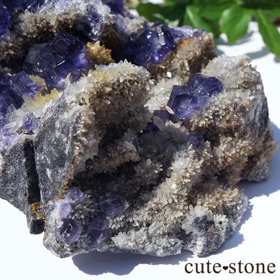  ʡʻѡץե饤ȤΥ饹 μ̿3 cute stone