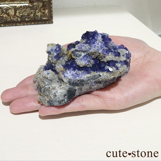  ʡʻѡץե饤ȤΥ饹 μ̿6 cute stone