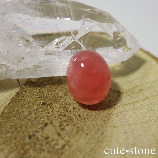 를󻺥󥫥Υ롼ʥܥˤμ̿2 cute stone
