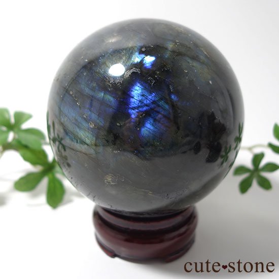 ޥ뻺֥ɥ饤Ȥδݶ̡ľ£ˤμ̿0 cute stone