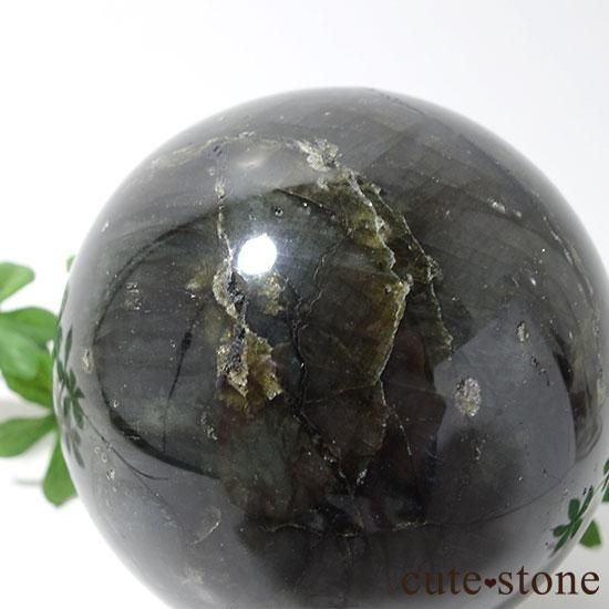 ޥ뻺֥ɥ饤Ȥδݶ̡ľ£ˤμ̿2 cute stone