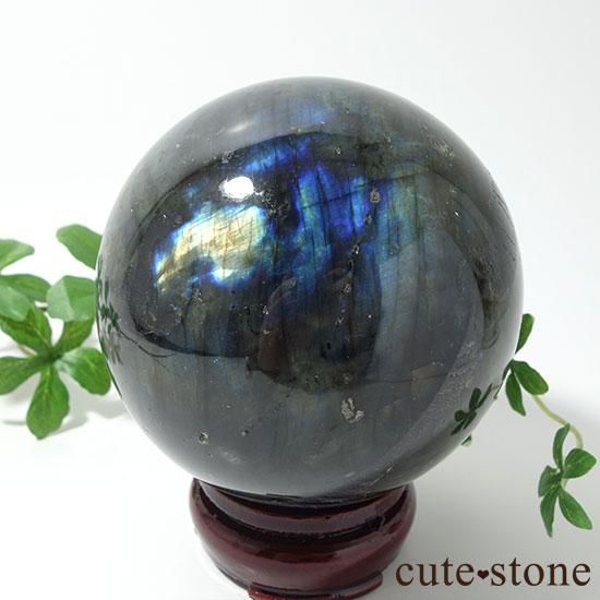 ޥ뻺֥ɥ饤Ȥδݶ̡ľ£ˤμ̿3 cute stone