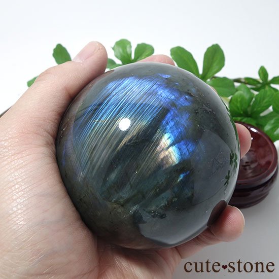 ޥ뻺֥ɥ饤Ȥδݶ̡ľ£ˤμ̿4 cute stone