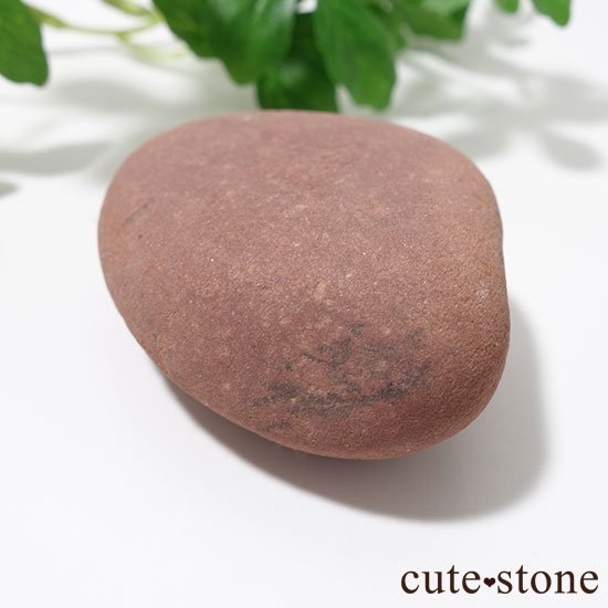 ɥʥȡΥ֥ʸСˤμ̿0 cute stone