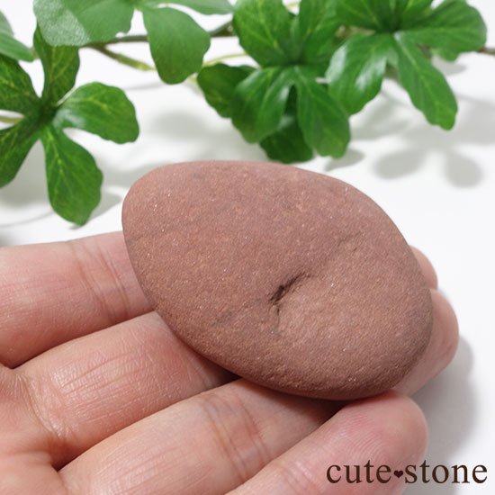 ɥʥȡΥ֥ʸСˤμ̿1 cute stone