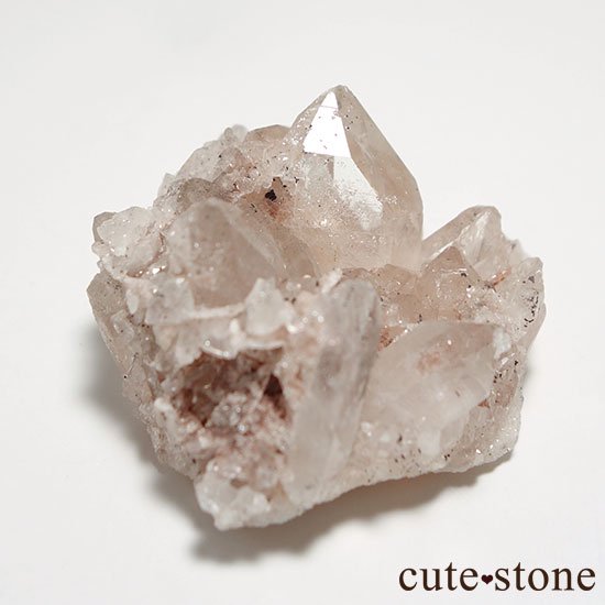 ޥ˥ 徽θ Cμ̿0 cute stone