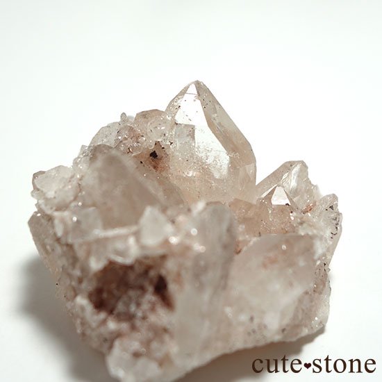 ޥ˥ 徽θ Cμ̿1 cute stone