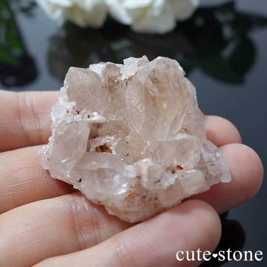 ޥ˥ 徽θ Cμ̿4 cute stone