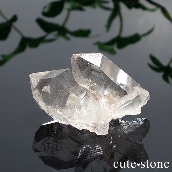 ޥ˥ 徽θ Dμ̿0 cute stone
