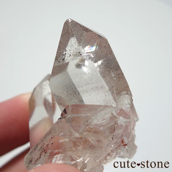 ޥ˥ 徽θ Dμ̿2 cute stone