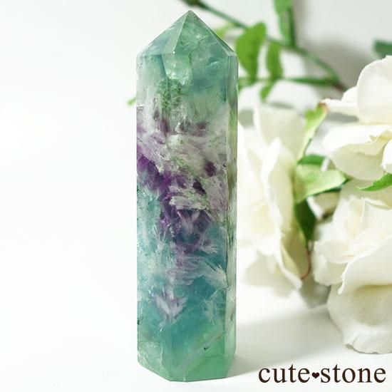 եե饤ȡʥ󥸥ե᤭ݥ Cμ̿1 cute stone