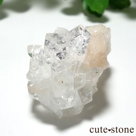 ɡ륬󻺥ݥե饤Ȥθ Aμ̿0 cute stone