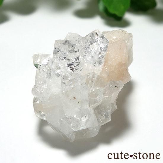 インド・ジャルガオン産アポフィライトの原石 Aの写真0 cute stone