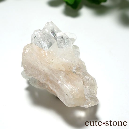 ɡ륬󻺥ݥե饤Ȥθ Aμ̿1 cute stone