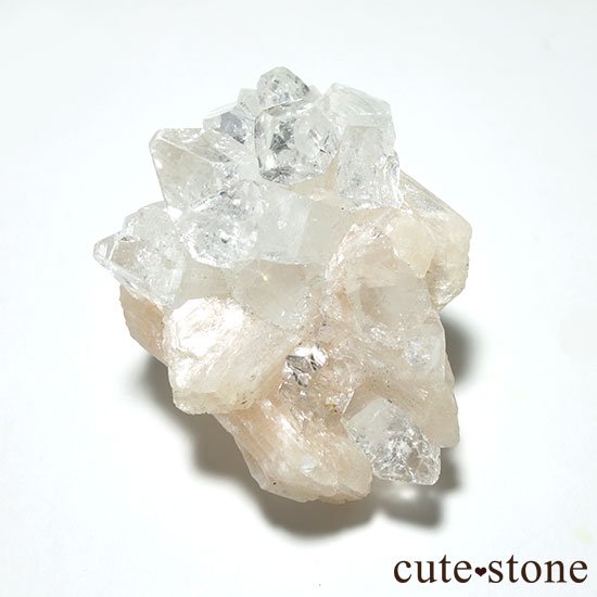 ɡ륬󻺥ݥե饤Ȥθ Aμ̿2 cute stone