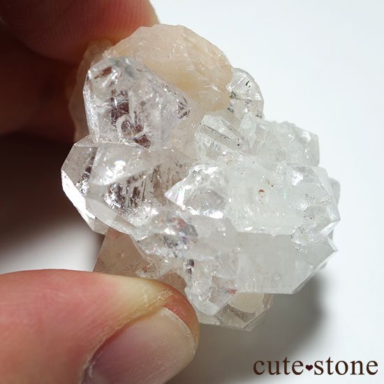 ɡ륬󻺥ݥե饤Ȥθ Aμ̿3 cute stone