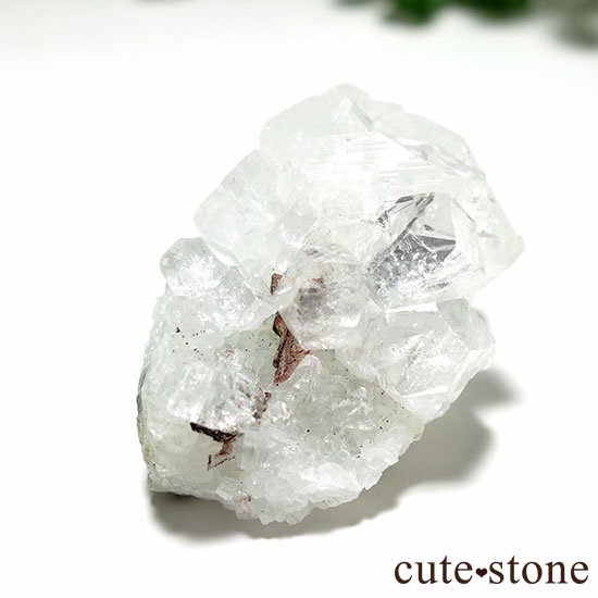 ɡ륬󻺥ݥե饤Ȥθ Bμ̿0 cute stone