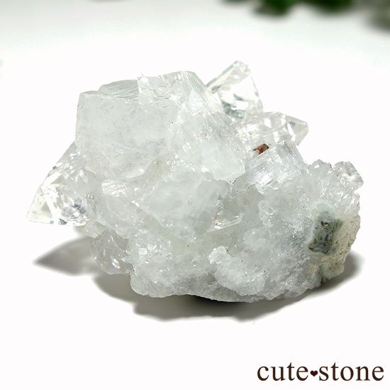 ɡ륬󻺥ݥե饤Ȥθ Bμ̿1 cute stone