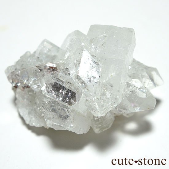 ɡ륬󻺥ݥե饤Ȥθ Bμ̿2 cute stone