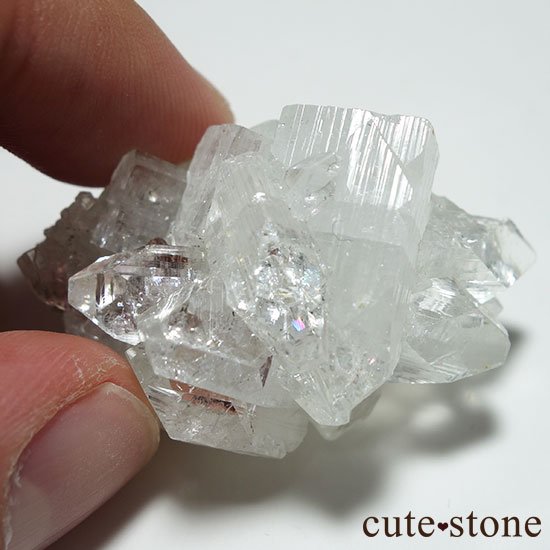 ɡ륬󻺥ݥե饤Ȥθ Bμ̿3 cute stone