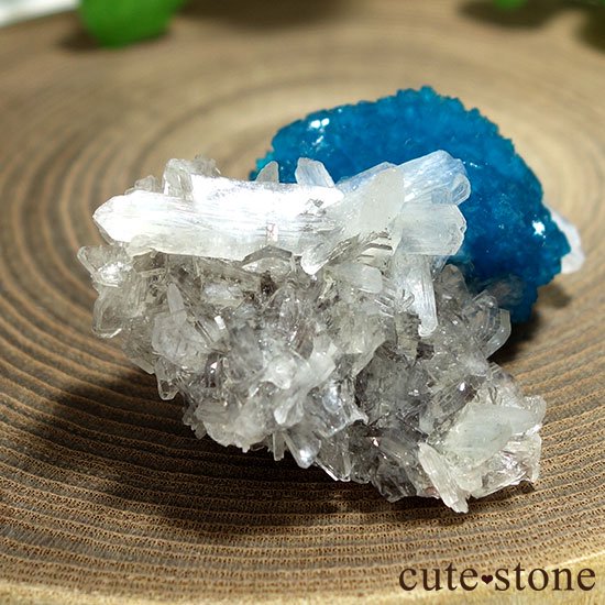 ɡסʡʥס͡˻Х󥵥Ȥθ Aμ̿3 cute stone