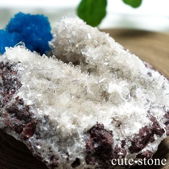 ɡסʡʥס͡˻Х󥵥Ȥθ Bμ̿1 cute stone