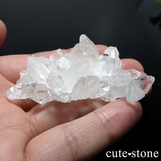 ֥饸뻺徽Υ饹() Bμ̿3 cute stone