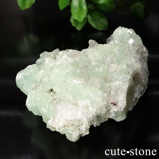 ץʥȤȿ徽θФμ̿0 cute stone