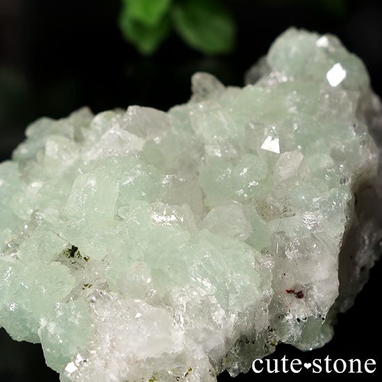 ץʥȤȿ徽θФμ̿2 cute stone