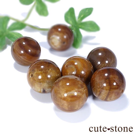 γۥڥȥեɥåɡʷڡ AAA 饦 14mmμ̿1 cute stone