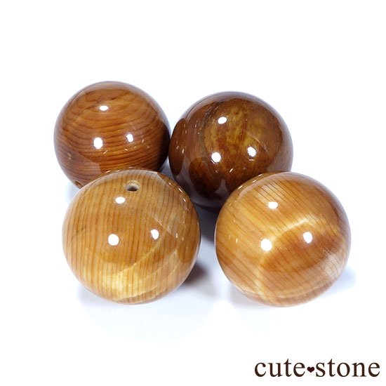 粒売り】高品質ペトリファイドウッド（珪化木） AAAA ラウンド１４ｍｍ - cute stone -