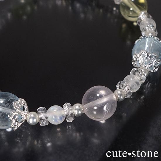 ムーンライトローズ　プレート5枚です☆ ムーンライトローズプレート5枚です☆