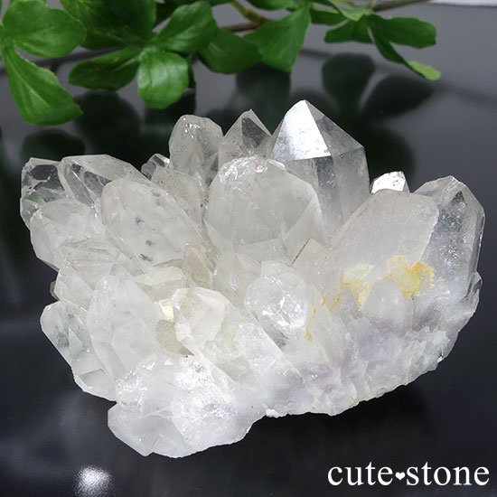 񻺥ԥɡդ徽Υ饹μ̿4 cute stone