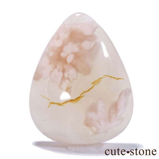 ڿۥ꡼֥åॢȤΥ롼 Cμ̿1 cute stone