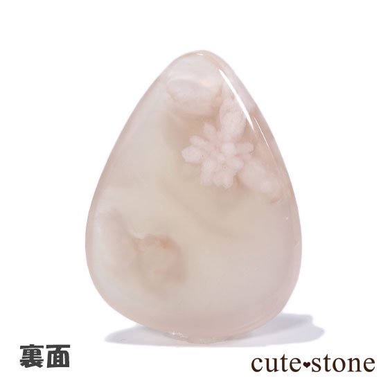 ڿۥ꡼֥åॢȤΥ롼 Cμ̿3 cute stone