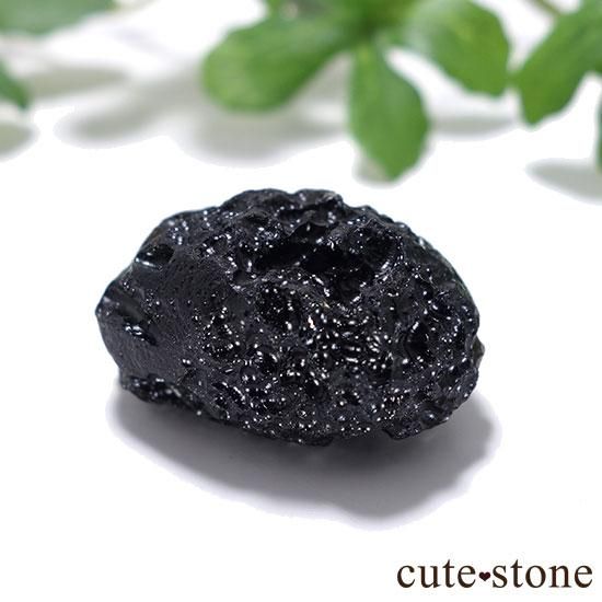 中国産テクタイトの原石 - cute stone -