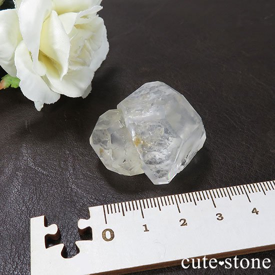 󥴥뻺Υ顼쥹ե饤 Bμ̿4 cute stone