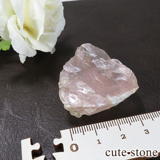 󥴥뻺Υԥ󥯥ե饤Ȥμ̿5 cute stone