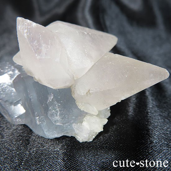 ʻ륵ȥե饤ȤθФμ̿0 cute stone
