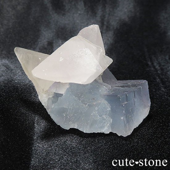ʻ륵ȥե饤ȤθФμ̿1 cute stone