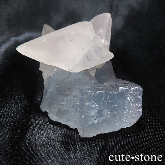 ʻ륵ȥե饤ȤθФμ̿2 cute stone