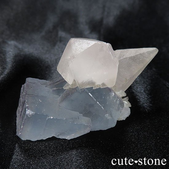 ʻ륵ȥե饤ȤθФμ̿3 cute stone