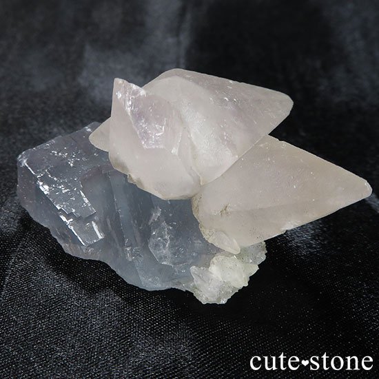 ʻ륵ȥե饤ȤθФμ̿4 cute stone