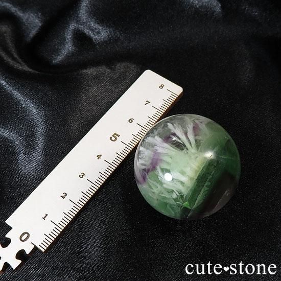  ϡꡪեե饤ȡʥ󥸥եˤδݶ̤μ̿6 cute stone